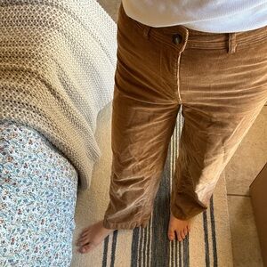 Everlane corduroy pants